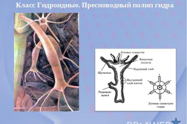 Кракен маркетплейс создатель